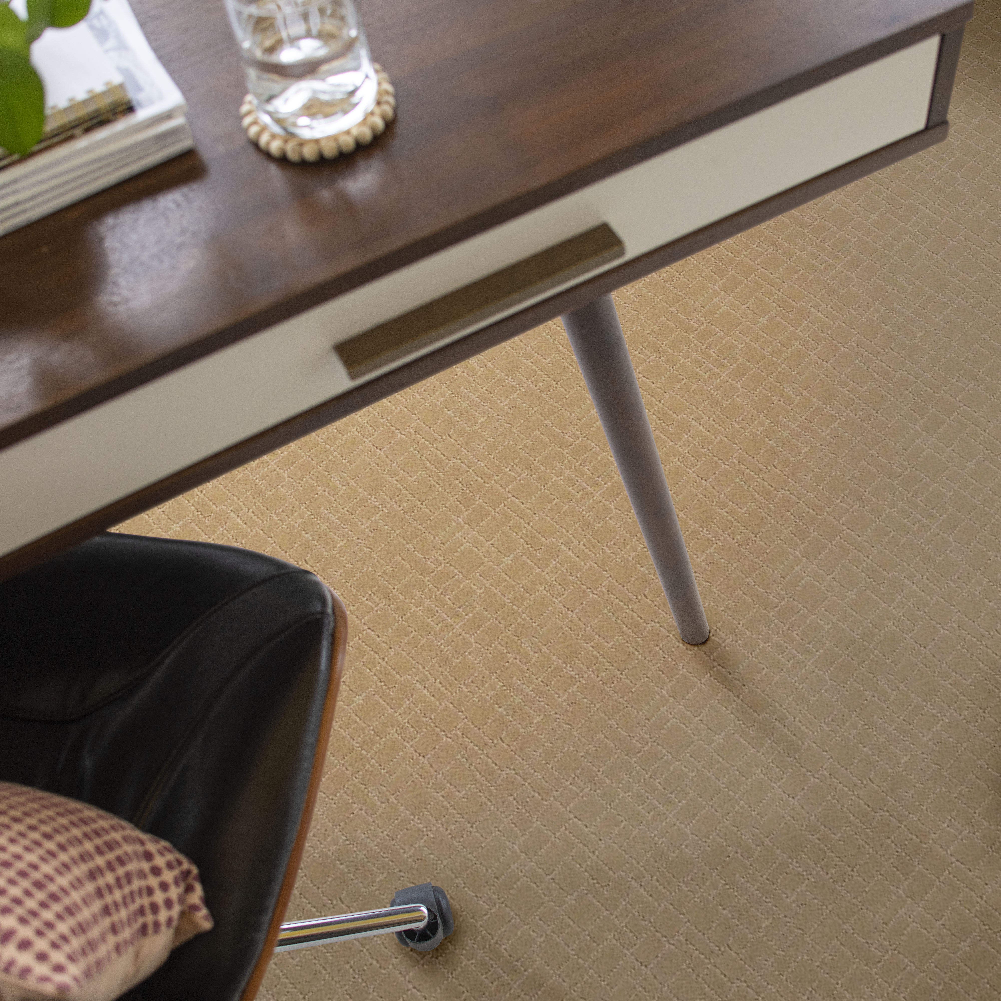 New Tricks - Monterey - ZZL84_00115